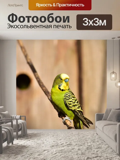 Фотообои Волнистый попугайчик