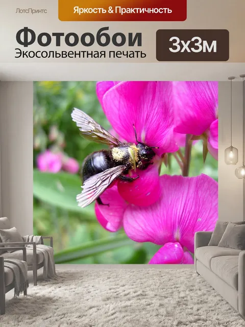 Фотообои Пчела в душистый горошек
