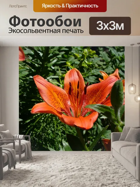 Фотообои Цветок