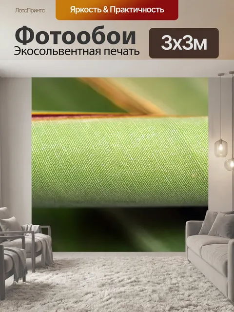 Фотообои Банановый лист