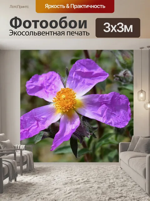 Фотообои Цветок