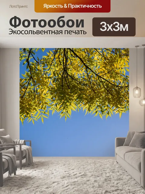 Фотообои Зеленые листья