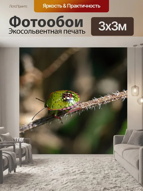 Фотообои зеленый и розовый щит жук на ветке