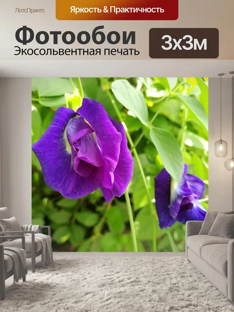 Фотообои Цветок