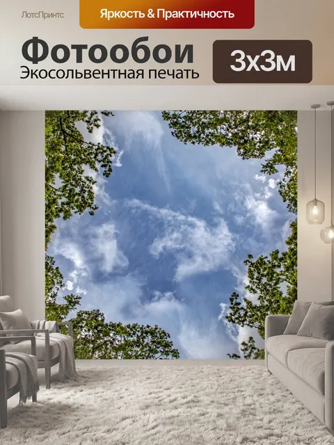 Фотообои Верхушки деревьев и голубое небо