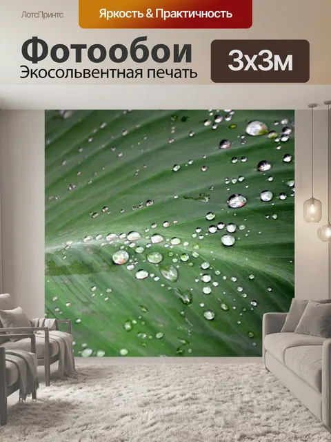 Фотообои Капли воды