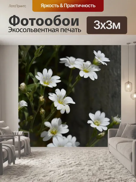 Фотообои Белые цветы