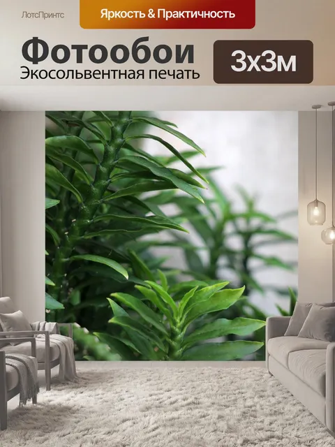 Фотообои Тропический зеленый суккулент