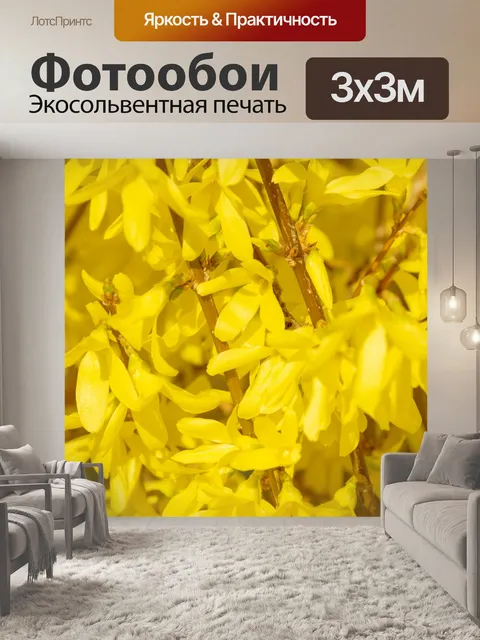 Фотообои Forsythia
