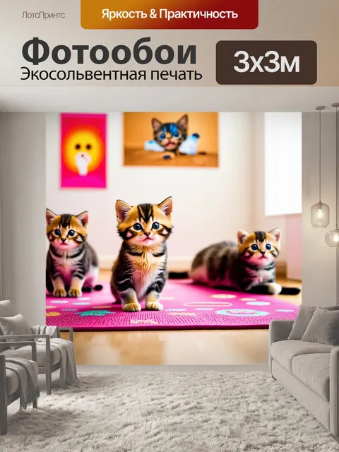 Фотообои с котиками, занимающимися йогой на коврике с ярким принтом, в фоне — забавные постеры на стенах и спокойное…