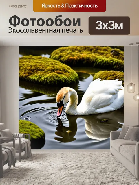 Фотообои гладкая поверхность пруда, где лебедь кормится, среди выступающих камней, покрытых мхом