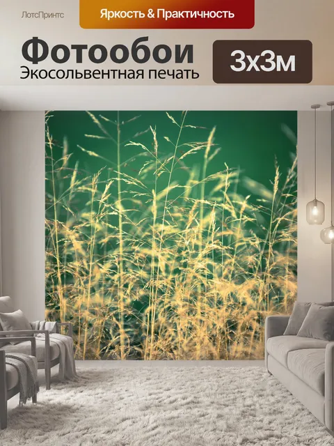 Фотообои сухой желтой травой
