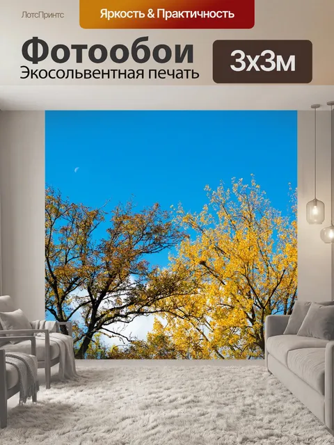 Фотообои Падение