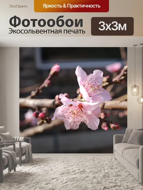 Фотообои Цветы персика