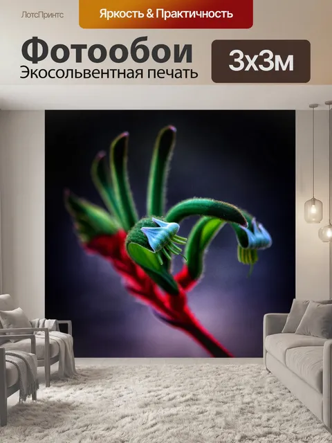 Фотообои Кенгуру лапа