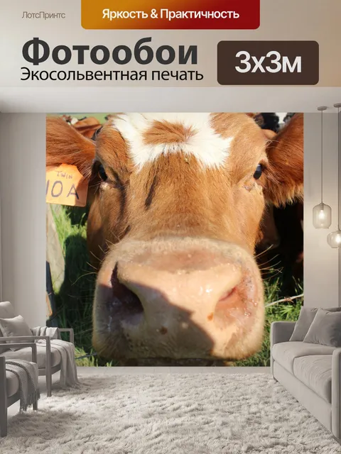 Фотообои Стадо коров выгона