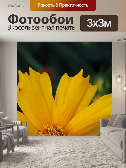 Фотообои зубчатые края лепестков цветов