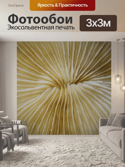 Фотообои Гриб Коралл