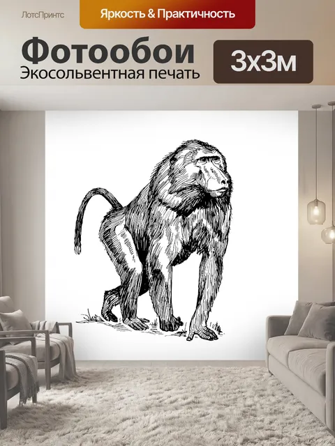 Фотообои Иллюстрация Бабуин Клипарт