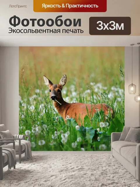 Фотообои Косуля