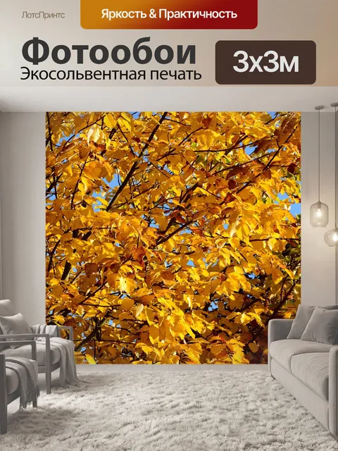 Фотообои Осенние листья