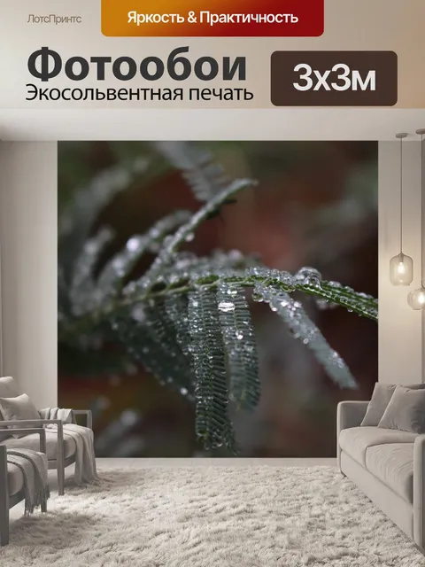 Фотообои Дождь