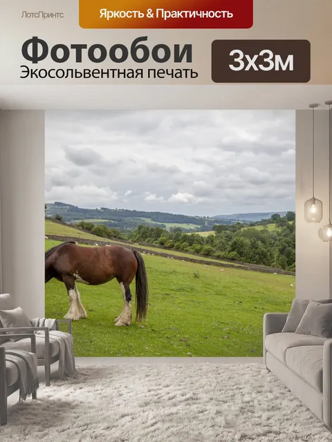 Фотообои Домашняя лошадь