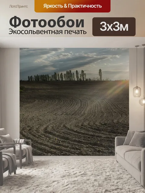 Фотообои Поле Закат