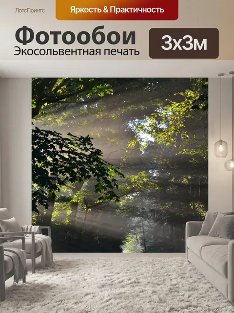 Фотообои Лес