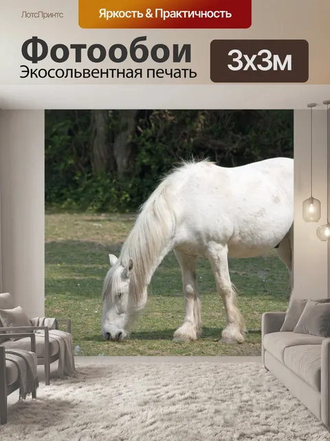 Фотообои Выпаса лошадей