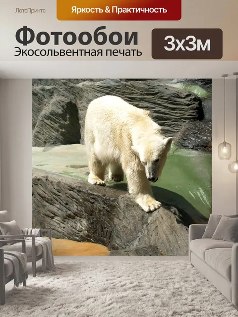 Фотообои Полярный медведь