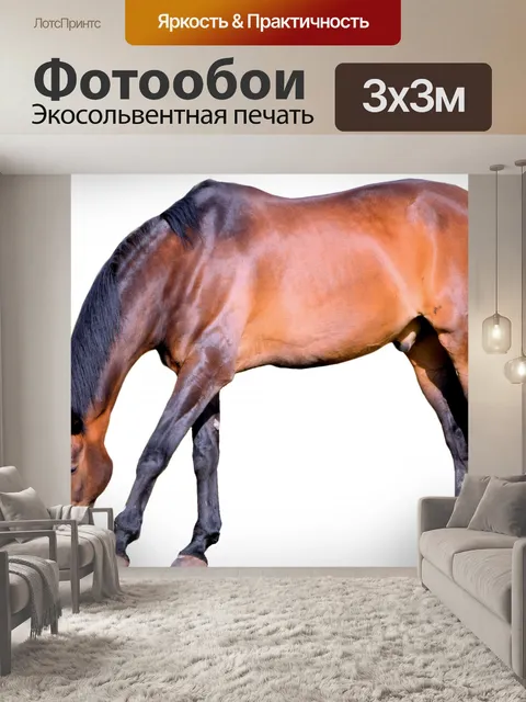 Фотообои Изолированные Верховая