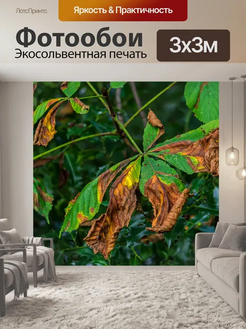 Фотообои Листья