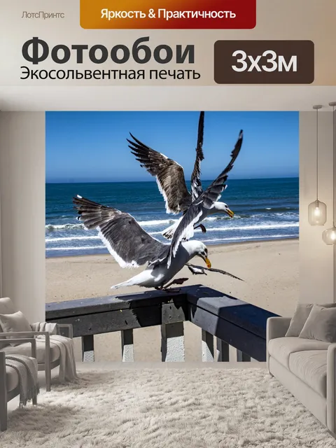 Фотообои Борьба с чайками