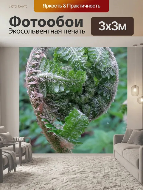 Фотообои Fiddlehead