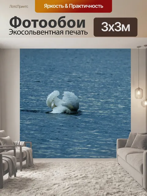 Фотообои Лебедь