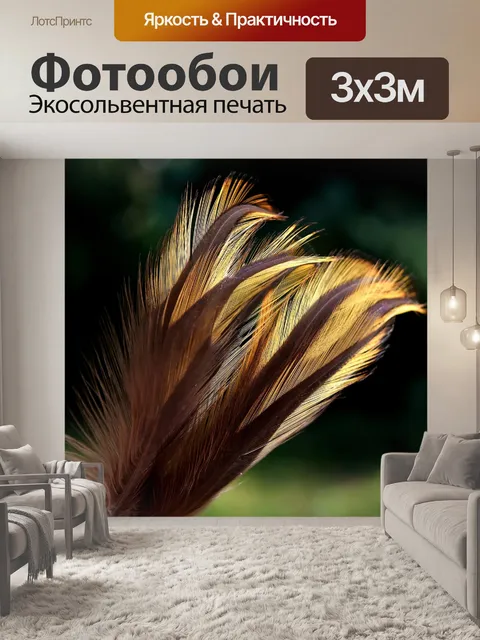 Фотообои Перья