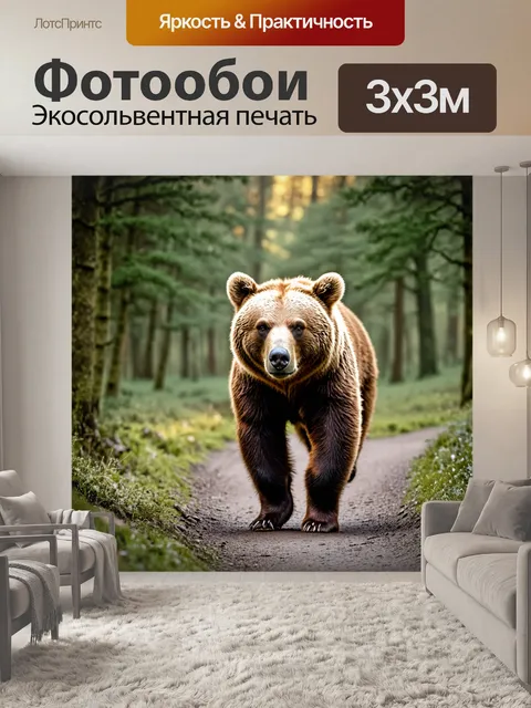 Фотообои европейский бурый медведь идет по лесной тропе, его легкий мех покрылся утренней росой, сверкающей на солнце