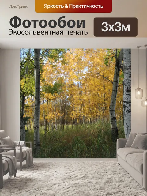 Фотообои Осенние цвета, осина