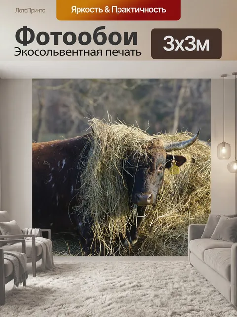 Фотообои Животное