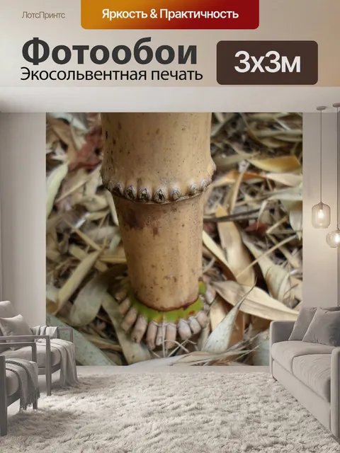 Фотообои Бамбуковый коричневый соломенный