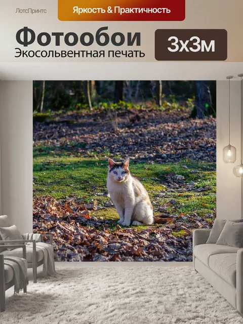 Фотообои Кошка