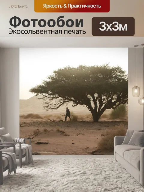 Фотообои Алжир