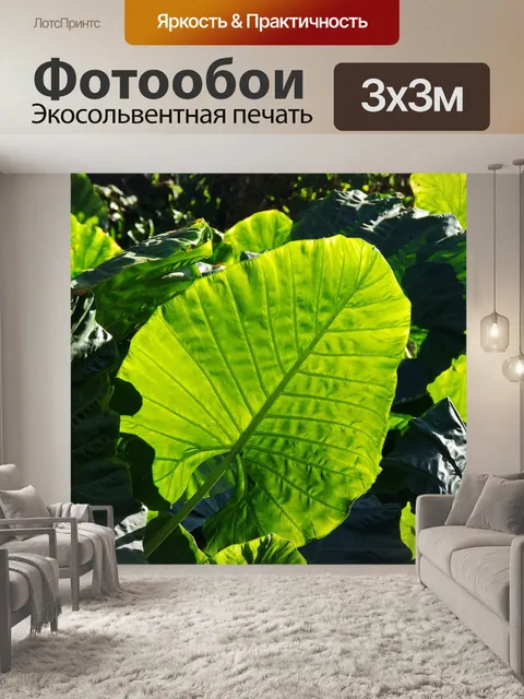 Фотообои Лист