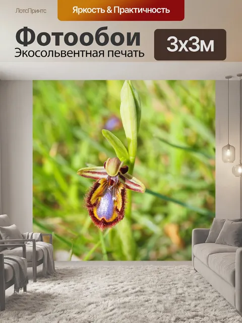 Фотообои Зеркальные лагуны