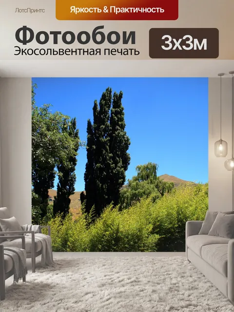 Фотообои деревья и тополя