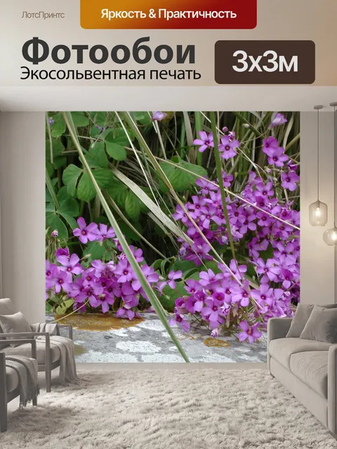 Фотообои Фиолетовый Цветы в саду стены