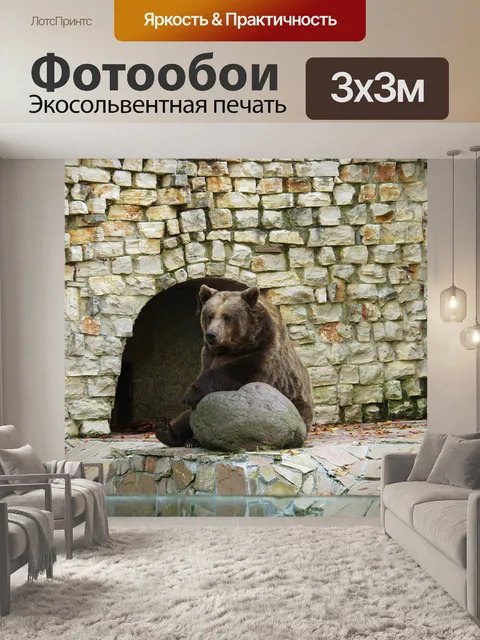 Фотообои Бурый медведь