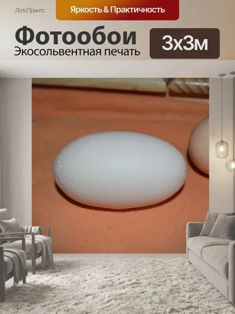 Фотообои 100 грамм Яйцо