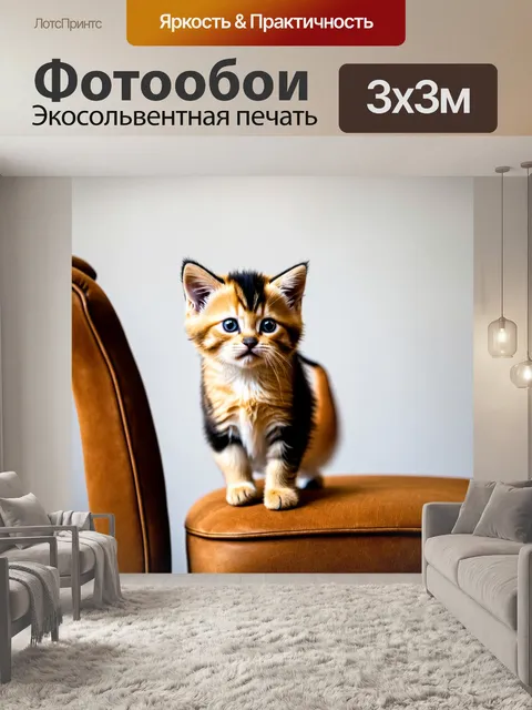 Фотообои котенок, стоящий на вершине стула